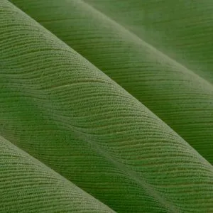 04250 - Blue, Green, 04250-Leaf
