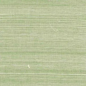 Bermuda Hemp - Blue, Green, 5253-Bermuda-Hemp-Grass-Green