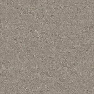 Ceres Sheer