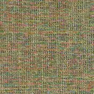 Darwin - Blue, Green, Darwin-Congo-0701