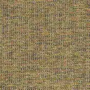 Darwin - Blue, Green, Darwin-Jungle-0704