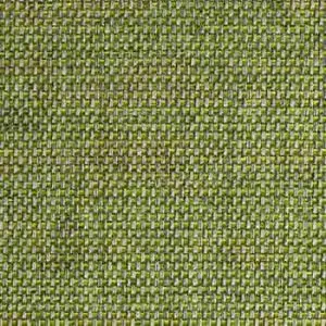 Kiko - Blue, Green, Kiko-Kale-9807