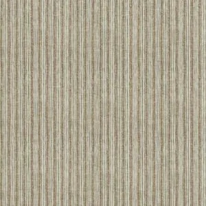 Market Stripe