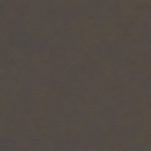 Ranger